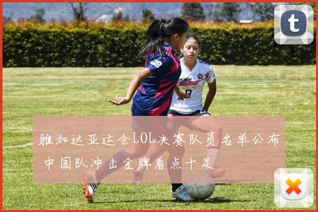 雅加达亚运会LOL决赛队员名单公布 中国队冲击金牌看点十足