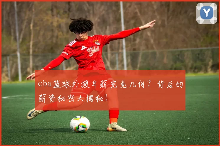 cba篮球外援年薪究竟几何？背后的薪资秘密大揭秘！