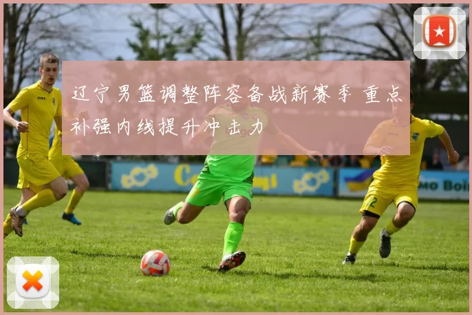 辽宁男篮调整阵容备战新赛季 重点补强内线提升冲击力